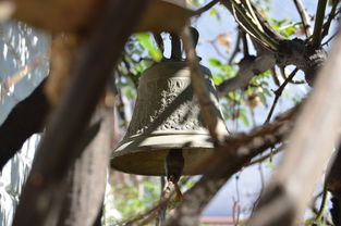 开云体育官网app-NBA球员转会市场动态，nba转会名单