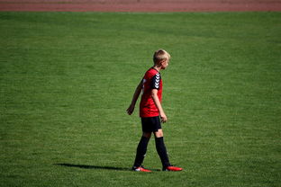 开云体育官网下载-NBA球员高原训练对平原比赛状态的影响，平原运动员进行高原训练原因