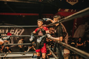 开云体育官网登入-NBA球迷互动活动策划,nba球星互动