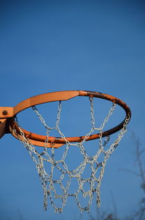 开云体育官网app-NBA球队球员培养规划设计，nba对球员的要求是什么