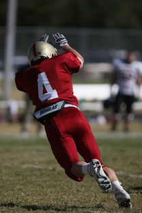 开云体育官网app-各大联赛战力榜:球队综合实力全景展示,各大联赛排行